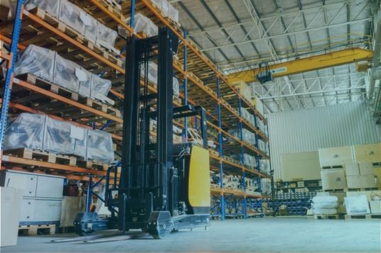 PRO-SAP Extended Warehouse Management Industrie