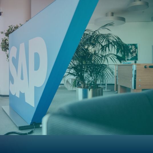 SU-SO SAP ERP Fachwissen